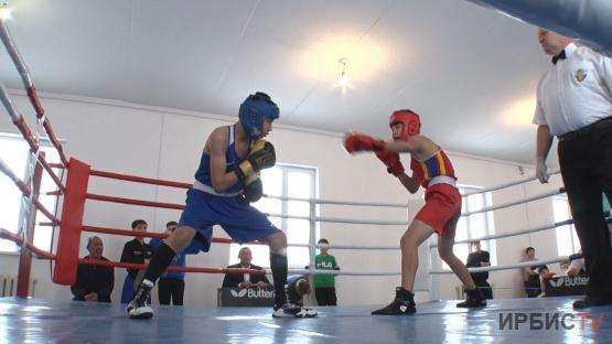 В Павлодаре стартовал международный турнир по боксу